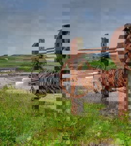 Title image for post