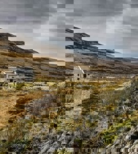 Title image for post